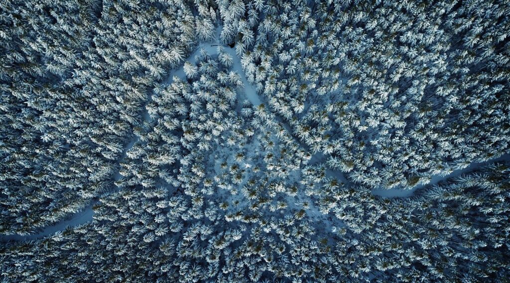 A road winding through a forest, as seen from above. The trees are covered with snow.