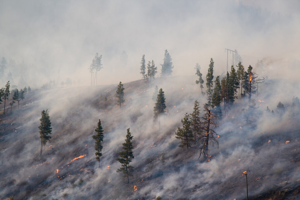 Forest fire burning in Montana east of Missoula late July 2007.