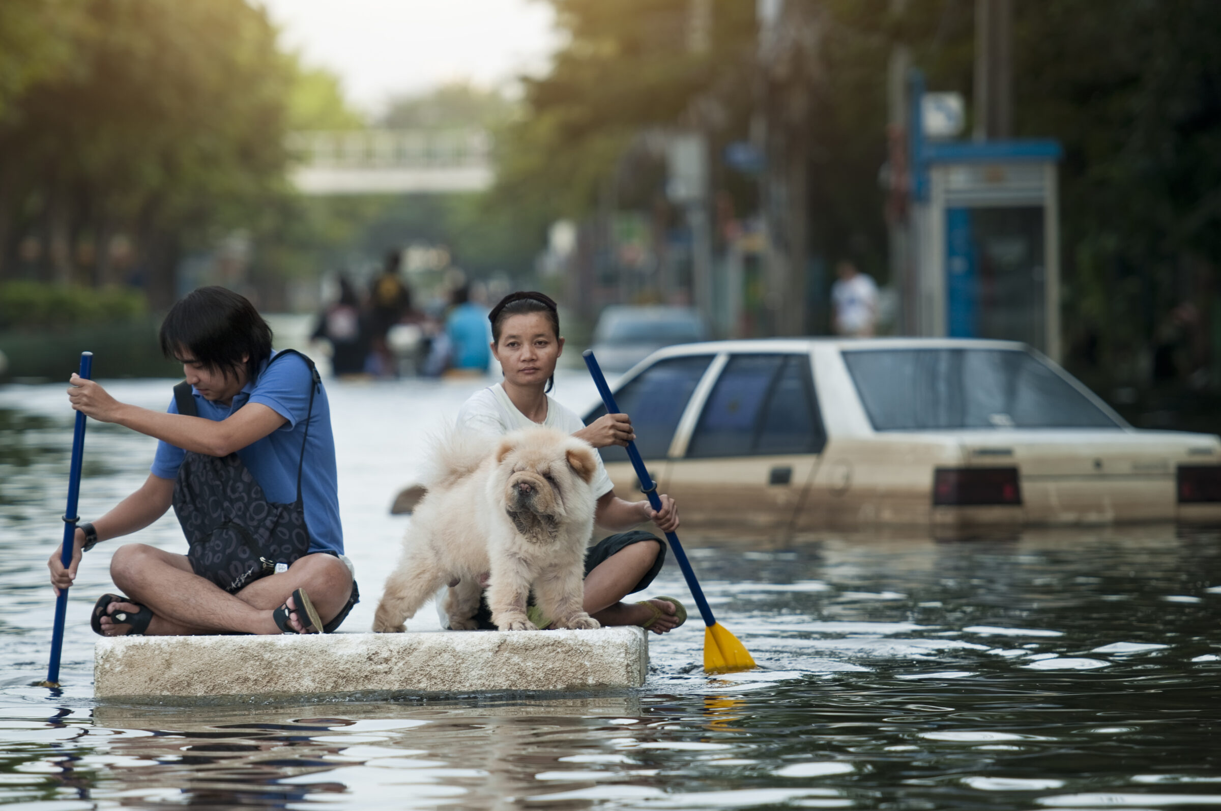 Bangkok Flood 2011